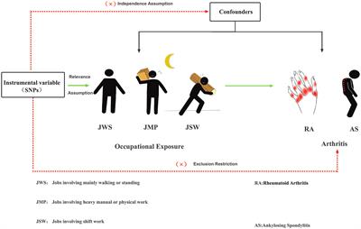 Causality of occupational exposure on rheumatoid arthritis and ankylosing spondylitis: a two-sample mendelian randomization study